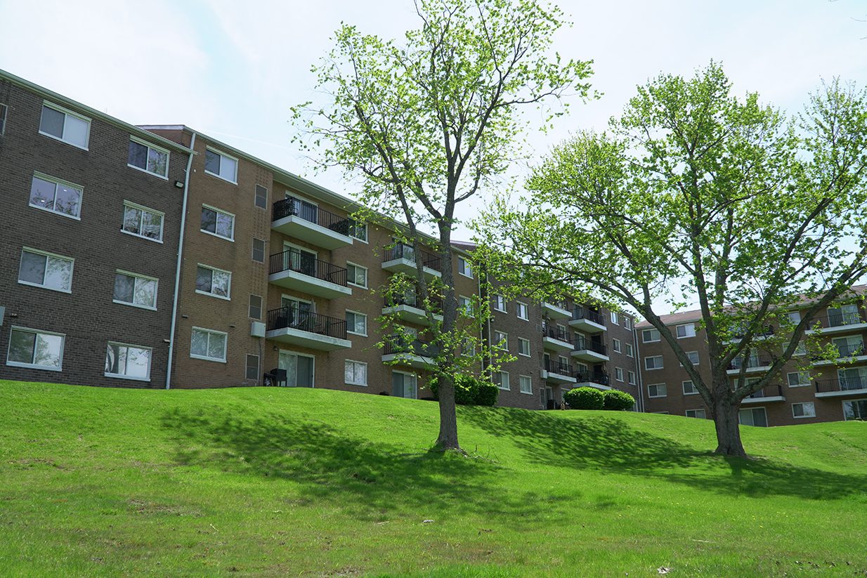Park area
